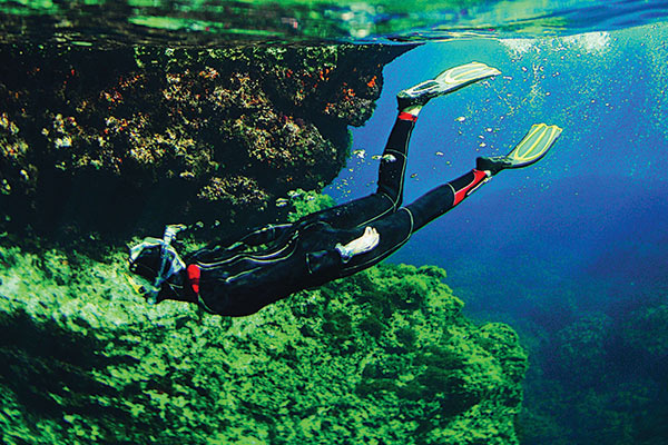 Discover Diving 
